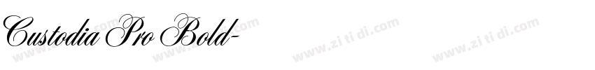 Custodia Pro Bold字体转换